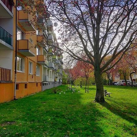 Muszelka Apartman Kołobrzeg Kültér fotó